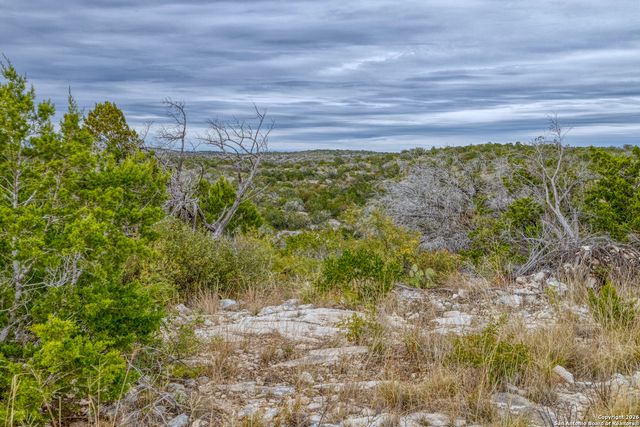 25 SD 65065 Dusty Rose Ranch, Rocksprings, TX 78880