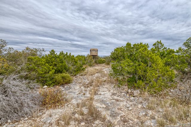 25 SD 65065 Dusty Rose Ranch, Rocksprings, TX 78880