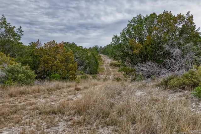 25 SD 65065 Dusty Rose Ranch, Rocksprings, TX 78880