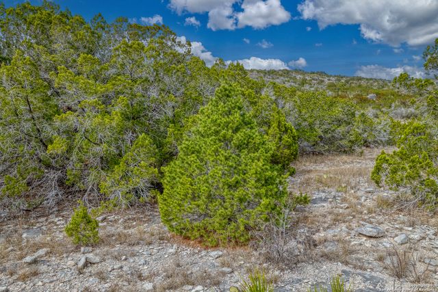 25 SD 65065 Dusty Rose Ranch, Rocksprings, TX 78880