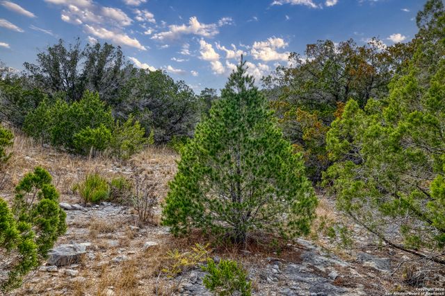 25 SD 65065 Dusty Rose Ranch, Rocksprings, TX 78880