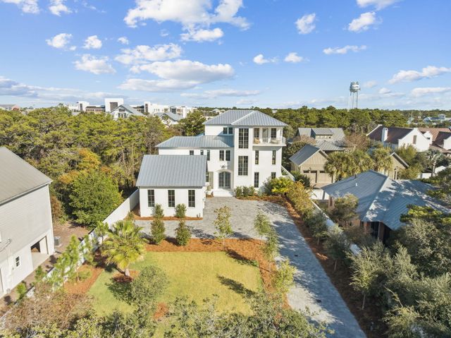 306 Walton Rose Lane, Inlet Beach, FL 32461