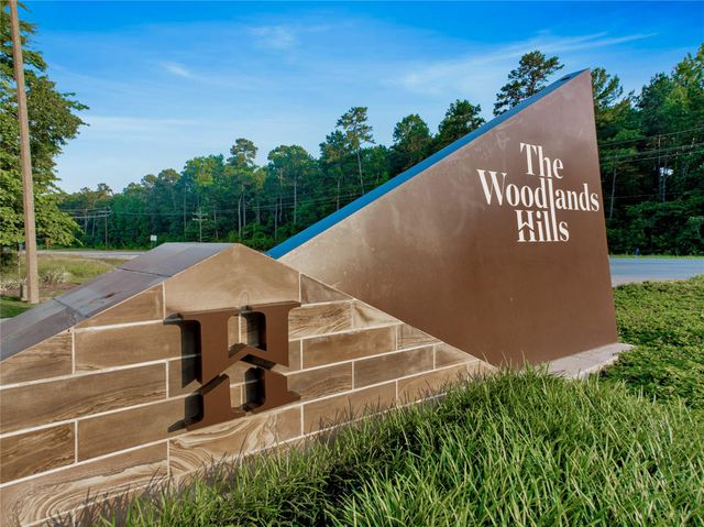 331 Silver Carp Trail, Conroe, TX 77318