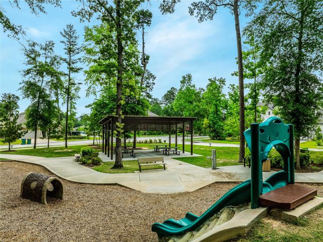 331 Silver Carp Trail, Conroe, TX 77318