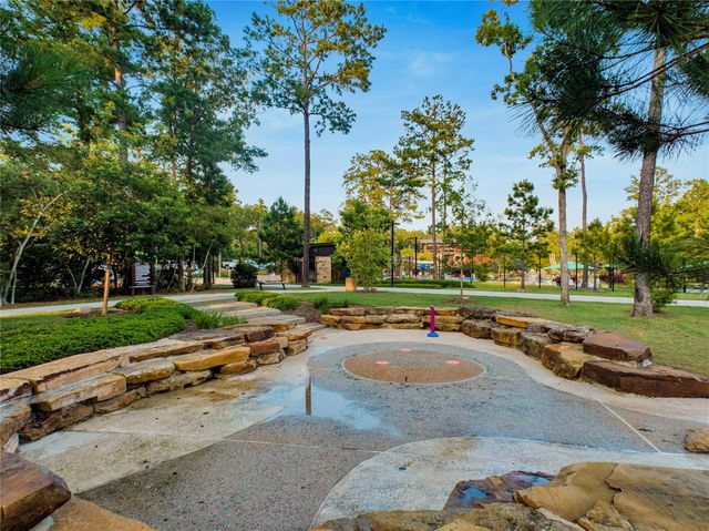 331 Silver Carp Trail, Conroe, TX 77318