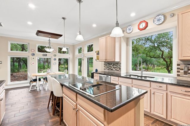 549 ACACIA PKWY, Spring Branch, TX 78070