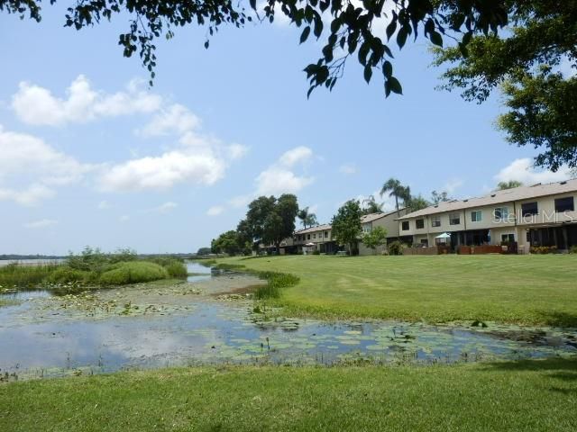 9209 SEMINOLE BOULEVARD 139, Seminole, FL 33772