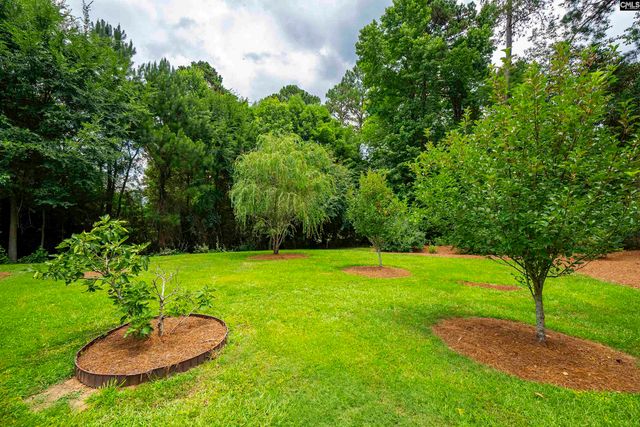 784 Coriander Road, Blythewood, SC 29016