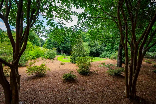 784 Coriander Road, Blythewood, SC 29016