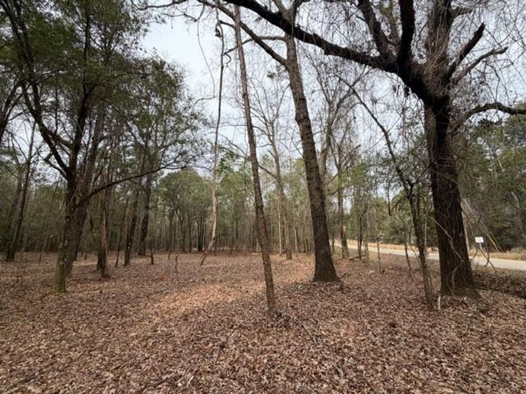 0 Danner Road, Wilmer, AL 36587 — exterior