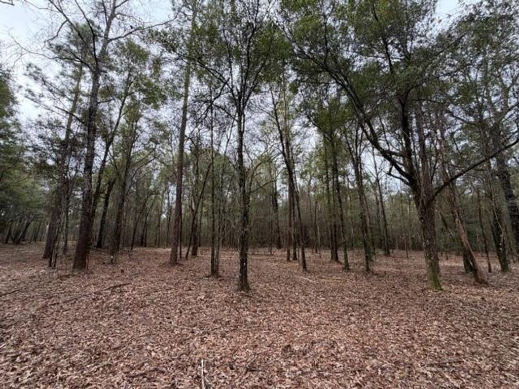 0 Danner Road, Wilmer, AL 36587 — photo 3