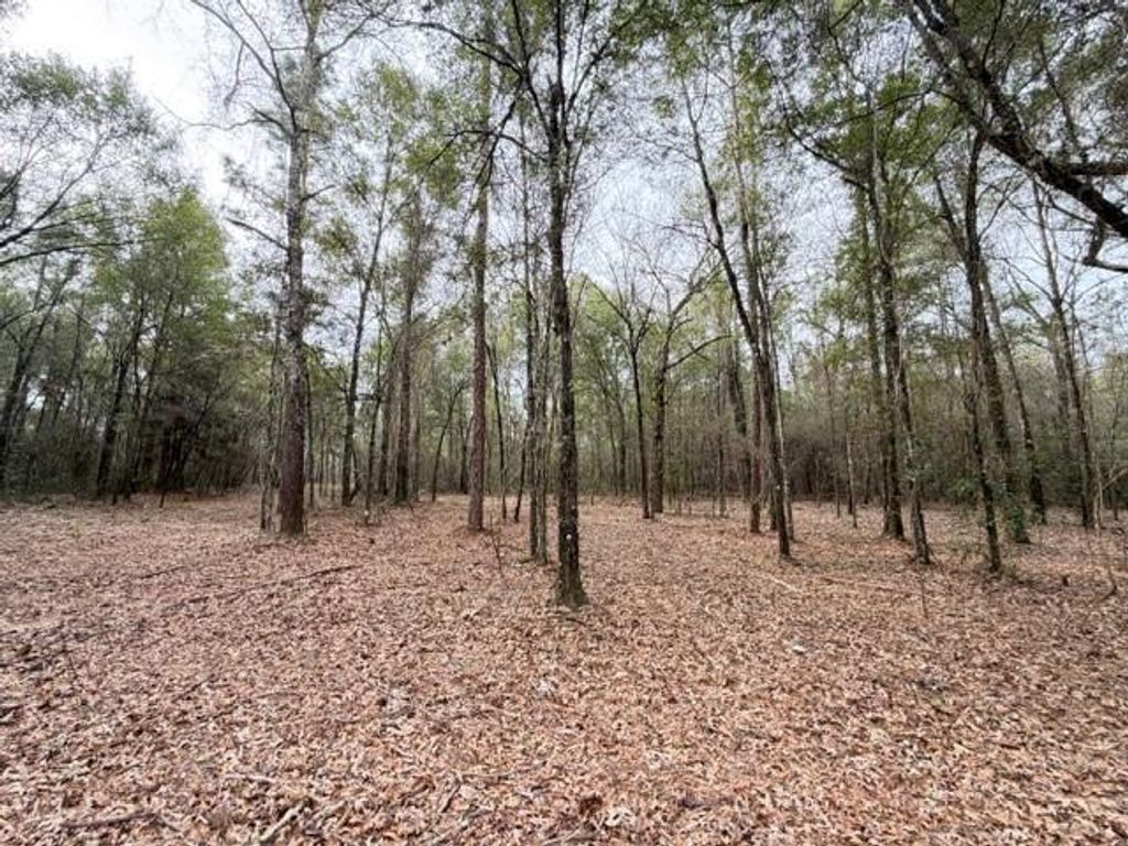 0 Danner Road, Wilmer, AL 36587 — photo 4