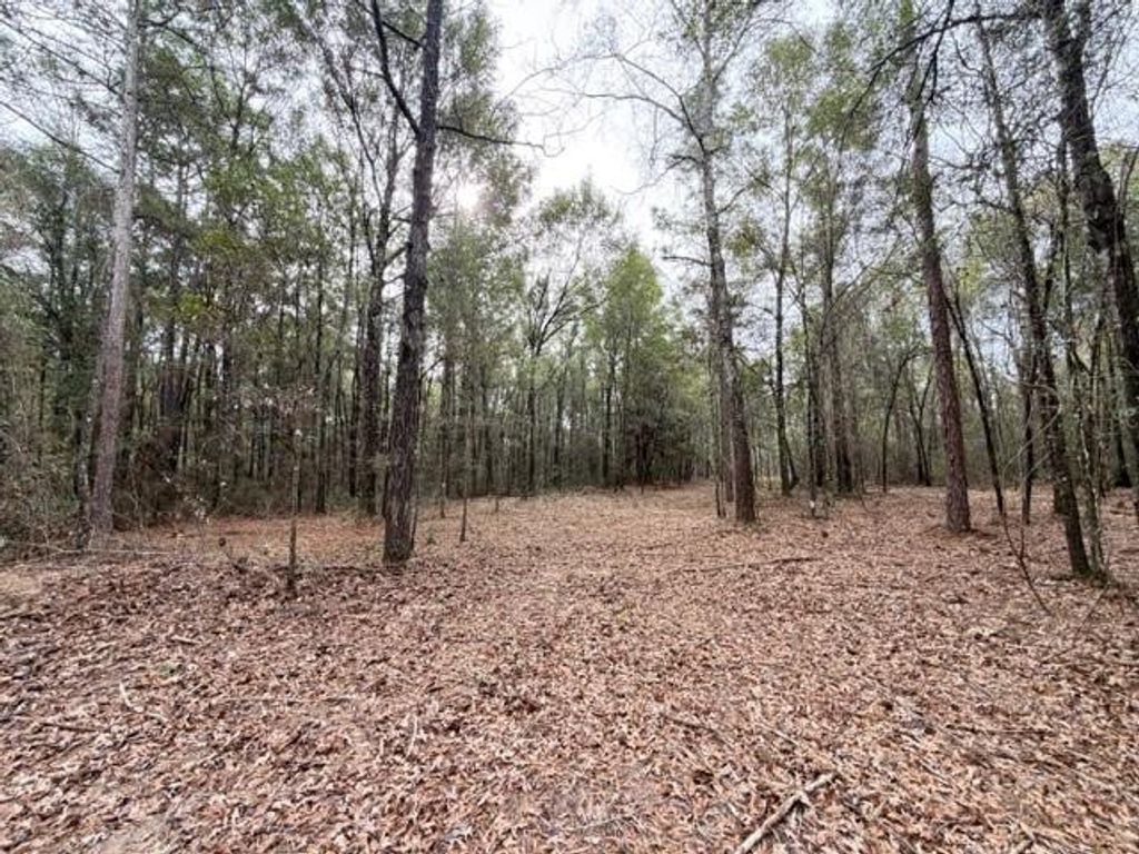 0 Danner Road, Wilmer, AL 36587 — photo 5
