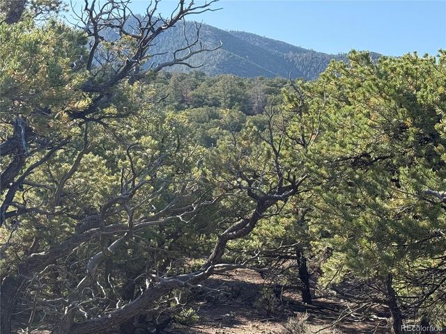Lot 7067 Waligunda Road, Fort Garland, CO 81133