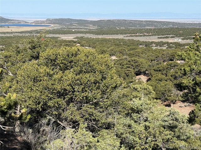Lot 7067 Waligunda Road, Fort Garland, CO 81133