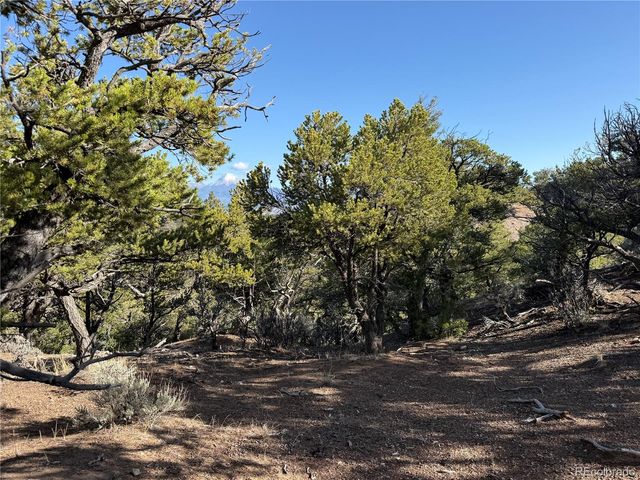 Lot 7067 Waligunda Road, Fort Garland, CO 81133