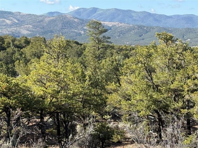 Lot 7067 Waligunda Road, Fort Garland, CO 81133