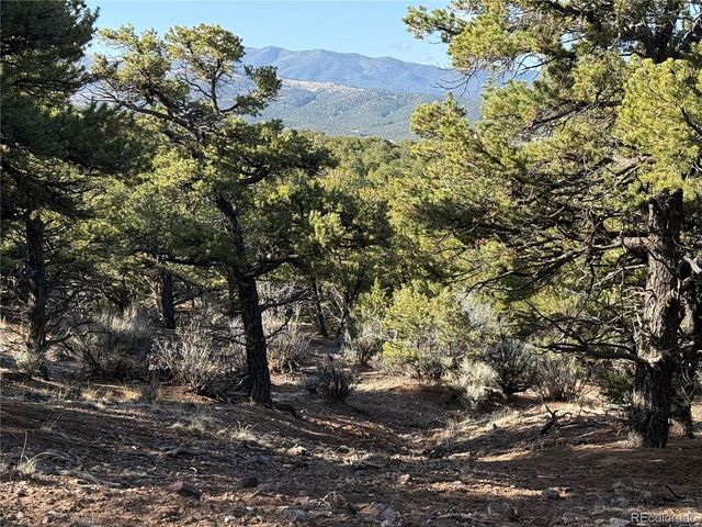 Lot 7067 Waligunda Road, Fort Garland, CO 81133