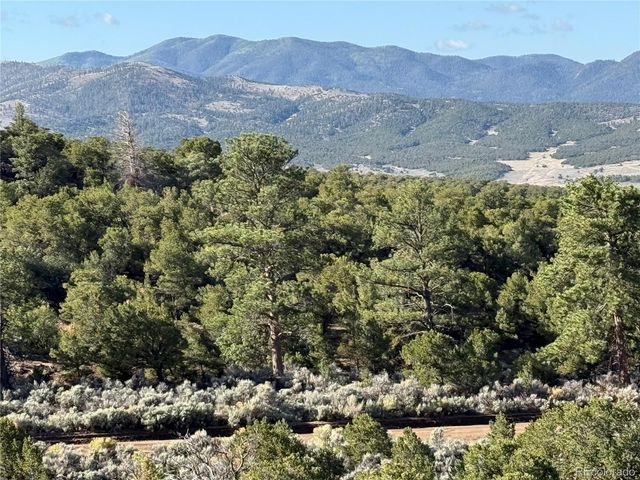 Lot 7067 Waligunda Road, Fort Garland, CO 81133