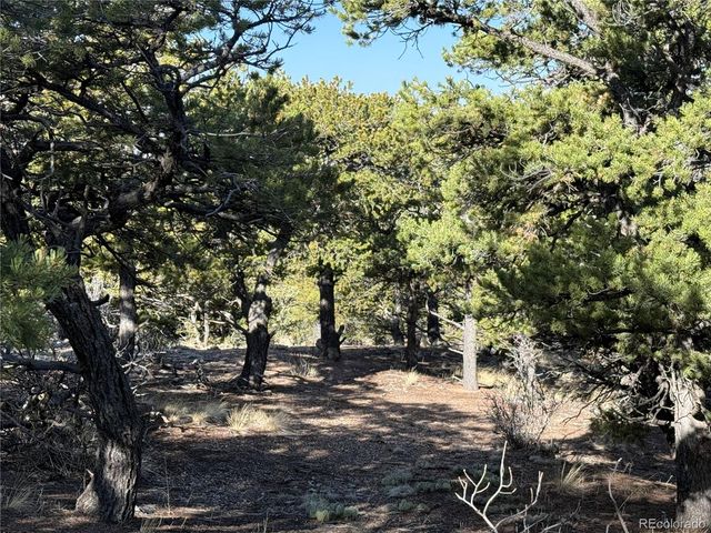Lot 7067 Waligunda Road, Fort Garland, CO 81133