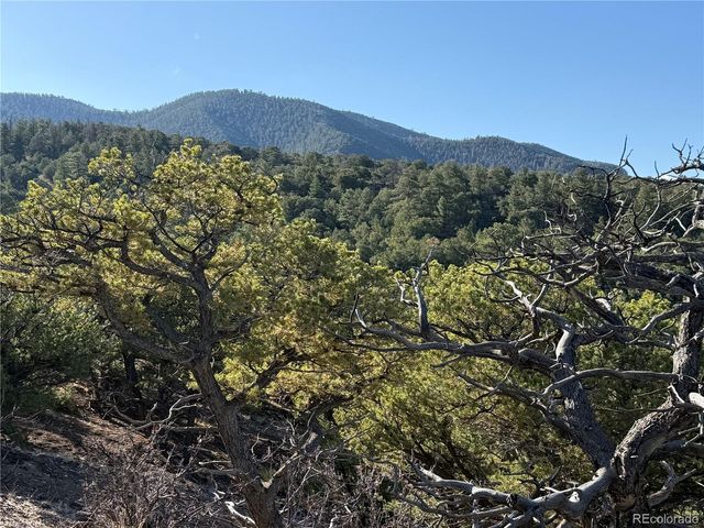 Lot 7067 Waligunda Road, Fort Garland, CO 81133