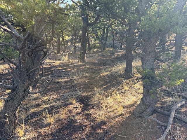 Lot 7067 Waligunda Road, Fort Garland, CO 81133