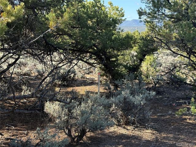 Lot 7067 Waligunda Road, Fort Garland, CO 81133