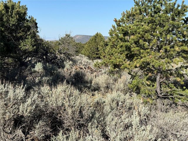 Lot 7067 Waligunda Road, Fort Garland, CO 81133