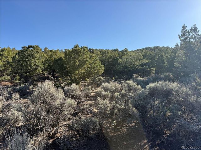 Lot 7067 Waligunda Road, Fort Garland, CO 81133