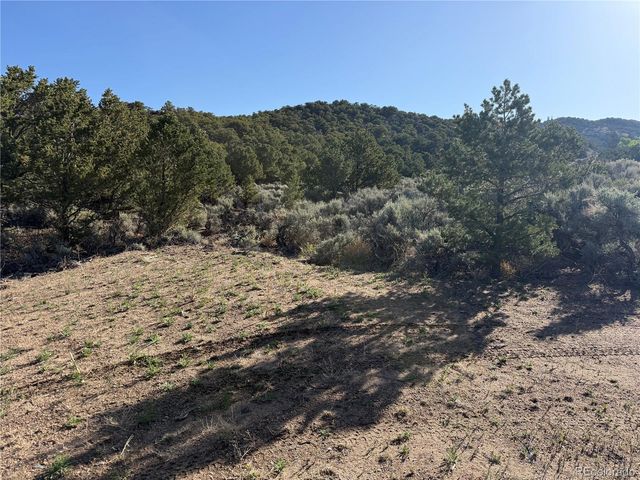 Lot 7067 Waligunda Road, Fort Garland, CO 81133