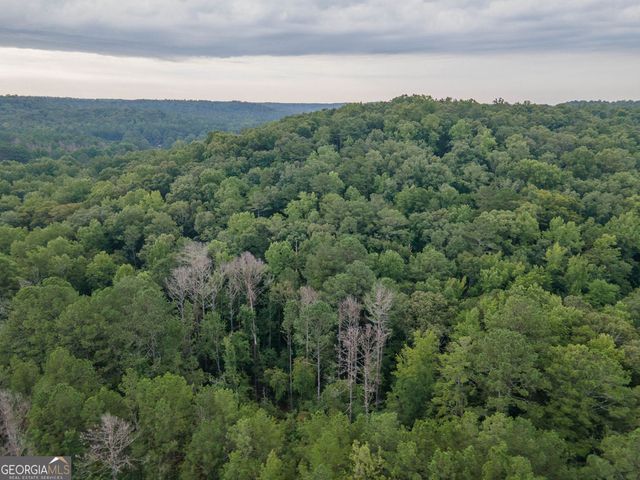 0 Brazell Road, Chattahoochee Hills, GA 30268