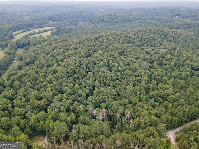 0 Brazell Road, Chattahoochee Hills, GA 30268
