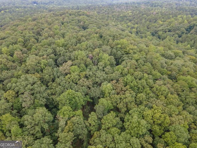 0 Brazell Road, Chattahoochee Hills, GA 30268