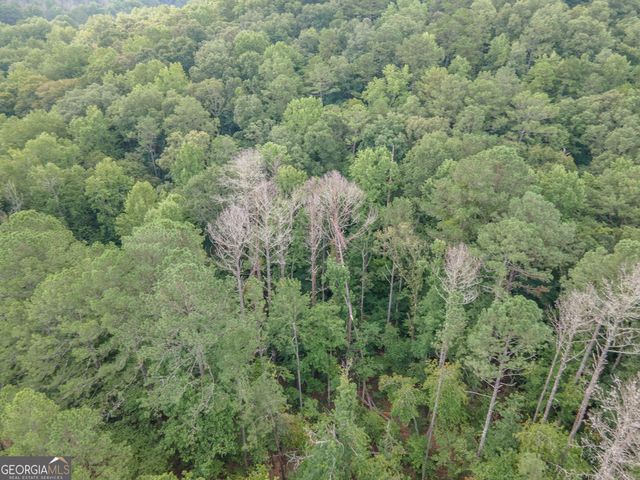 0 Brazell Road, Chattahoochee Hills, GA 30268