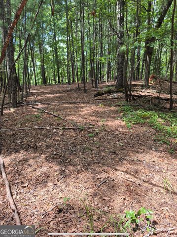 0 Brazell Road, Chattahoochee Hills, GA 30268