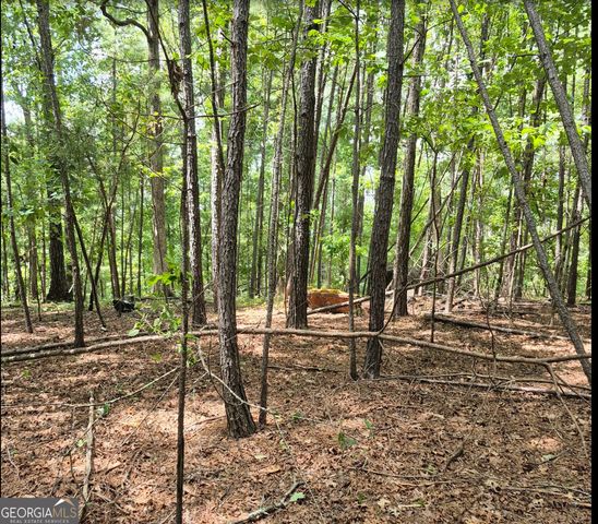 0 Brazell Road, Chattahoochee Hills, GA 30268