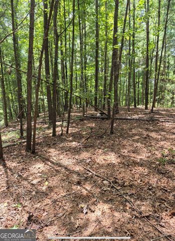 0 Brazell Road, Chattahoochee Hills, GA 30268