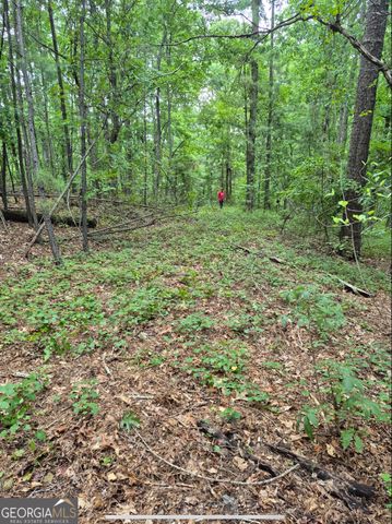 0 Brazell Road, Chattahoochee Hills, GA 30268