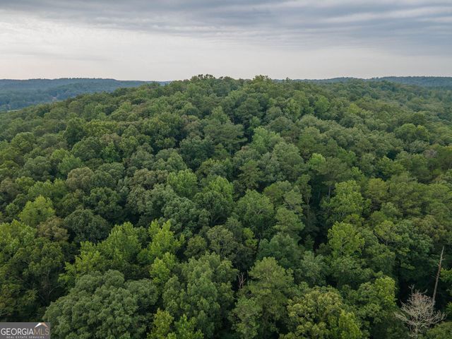 0 Brazell Road, Chattahoochee Hills, GA 30268