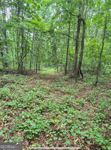 0 Brazell Road, Chattahoochee Hills, GA 30268