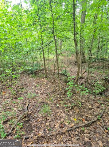 0 Brazell Road, Chattahoochee Hills, GA 30268