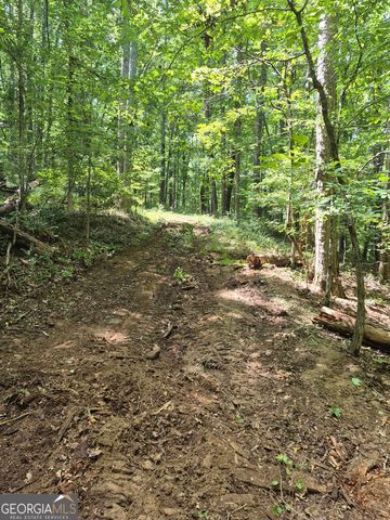 0 Brazell Road, Chattahoochee Hills, GA 30268