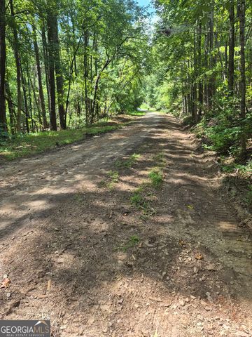 0 Brazell Road, Chattahoochee Hills, GA 30268