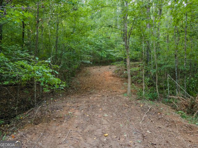 0 Brazell Road, Chattahoochee Hills, GA 30268