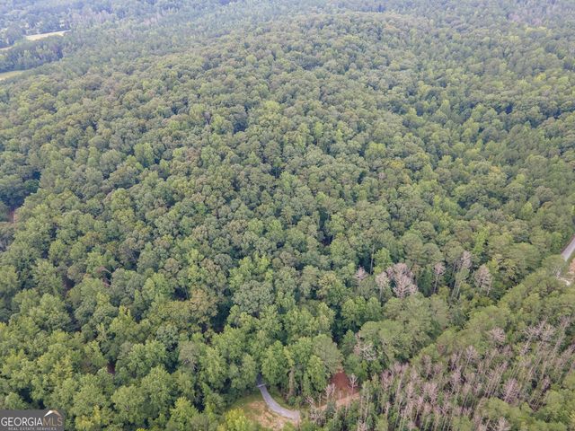0 Brazell Road, Chattahoochee Hills, GA 30268