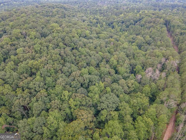 0 Brazell Road, Chattahoochee Hills, GA 30268