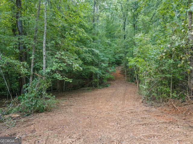 0 Brazell Road, Chattahoochee Hills, GA 30268