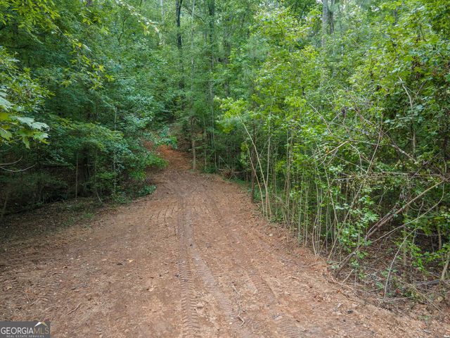 0 Brazell Road, Chattahoochee Hills, GA 30268