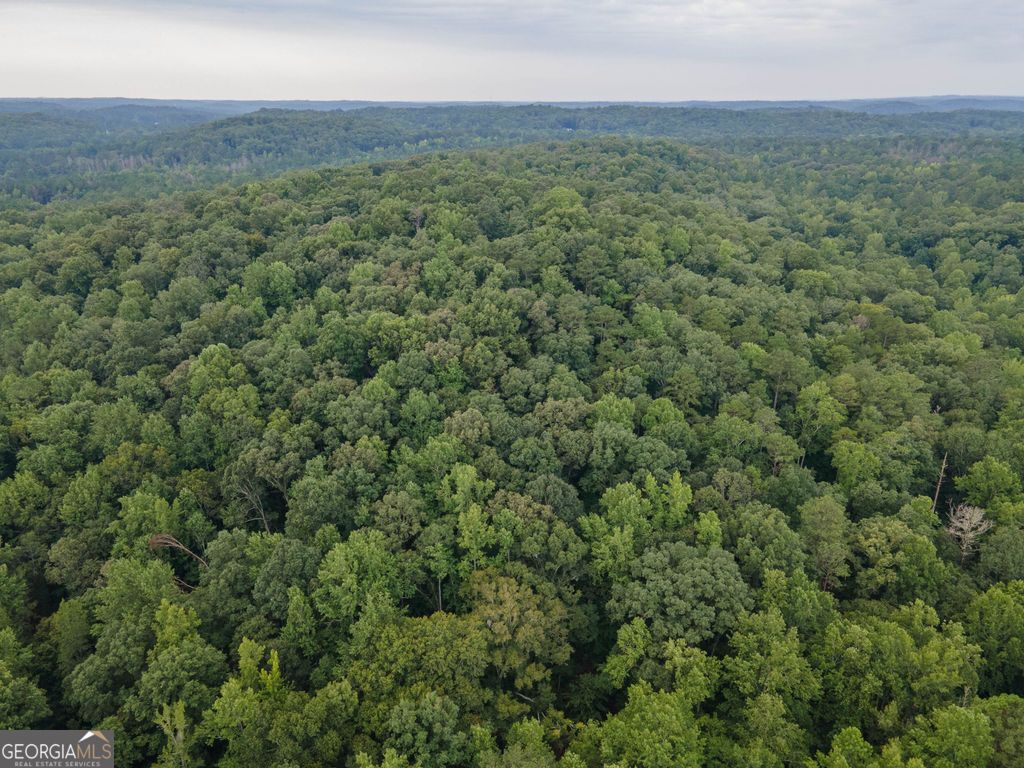 0 Brazell Road, Chattahoochee Hills, GA 30268