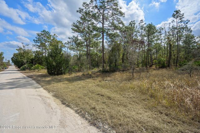 0 Taft Street, Brooksville, FL 34613